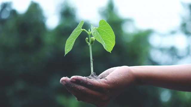 Warmte kan je delen en het is goed voor het klimaat